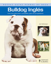 Bulldog Ingles Nuevas Guias Perros Raza