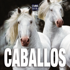 Caballos Xl Cube Book