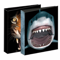 Carpeta Senfort 4 Anillas 30 mm A4 Bagguay Extreme 102015