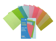 Paquete Papael A-4 100H - 80Gr. Golden Colores Surtidos