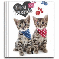 Carpeta 4A Myrna New Gatos Carp15039