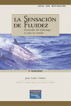 Sensacion de Fluidez , la