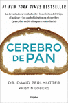 Cerebro de Pan