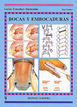 Bocas y Embocaduras -Guias Ecuestres
