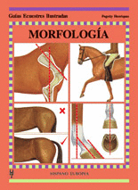 Morfologia -Guias Ecuestres