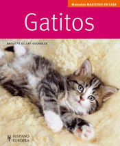Gatitos (Mascotas en Casa)