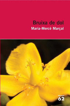Bruixa de Dol Ed 07