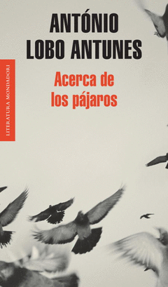 Acerca de los Pajaros