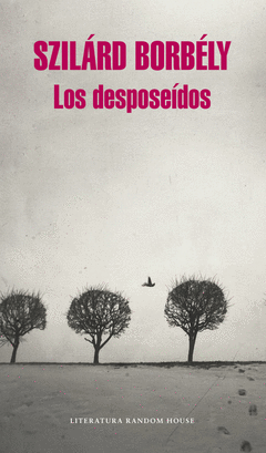 Los Desposeídos