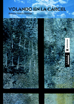 Volando en la Carcel