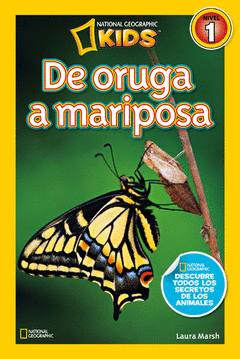 De Oruga a Mariposa Nivel 1
