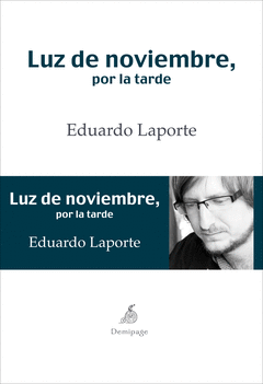 Luz de Noviembre por la Tarde /Demipage