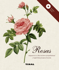 Rosas Ref 264002 + Dvd