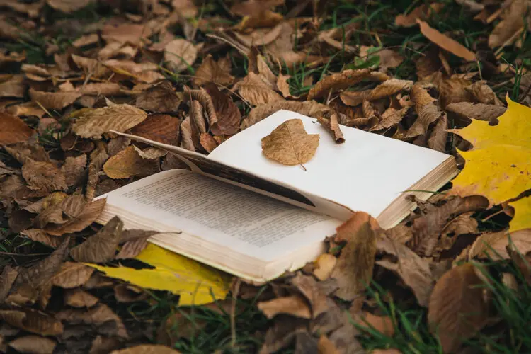 El libro físico apuesta por la sostenibilidad...